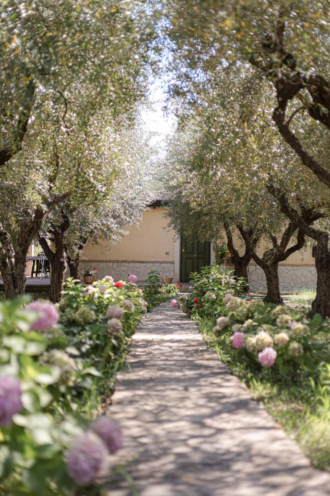 Agriturismo Il Pozzo Казаль-Велино Экстерьер фото